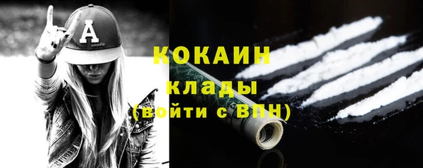 хмурый Алзамай