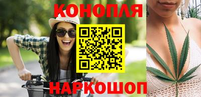 PSILOCYBIN Северобайкальск