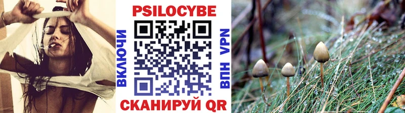 Псилоцибиновые грибы Psilocybine cubensis  Красноперекопск 