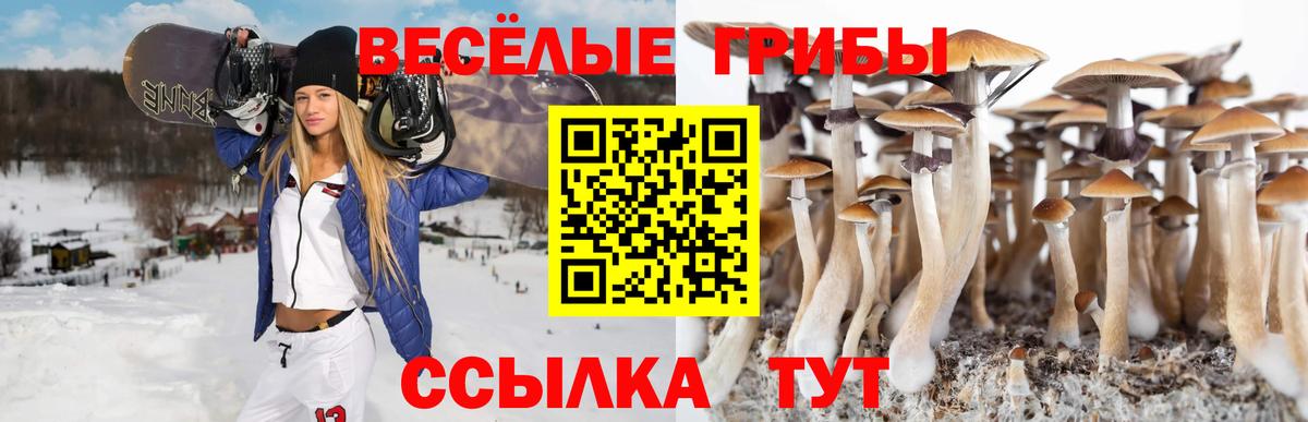 Красноперекопск  Псилоцибиновые грибы ЛСД  Вход с VPN 
